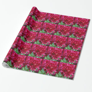 Papel De Presente Red Peony Wraping Paper