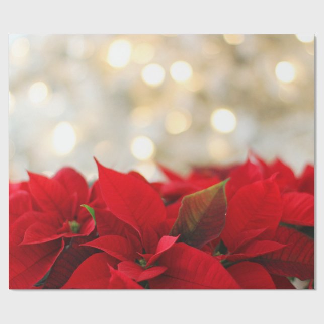 Papel De Presente Red Poinsettias com Ouro Bokeh Natal (Aberto)