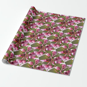 Papel De Presente Redbud florescente com Ladybug