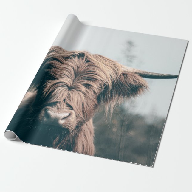 Papel De Presente Retrato de vaca das Terras Altas (Desenrolado)