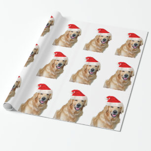 Papel De Presente Retriever de ouro