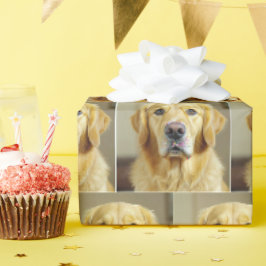 Papel De Presente Retriever De ouro Com Garrafas No Nariz