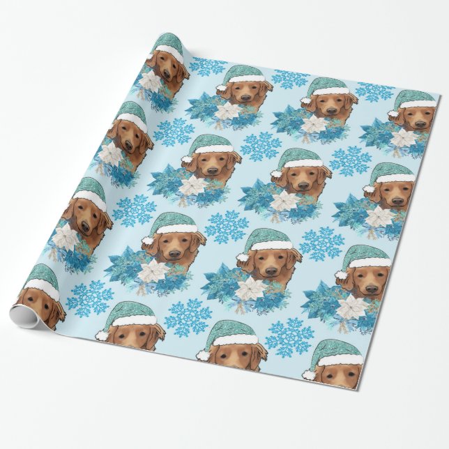 Papel De Presente retriever de tolling da nova scotia (Desenrolado)