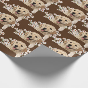 Papel De Presente Retriever ouro em marrom nas margaridas