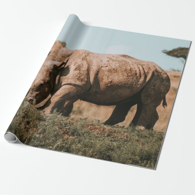 PAPEL DE PRESENTE RHINO ESTÁ EM ÁFRICA GRAZANDO (Desenrolado)