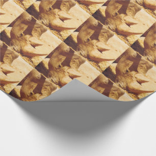 Papel De Presente Rhinoceronte Love