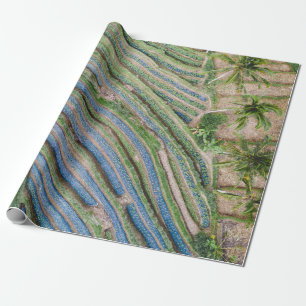 Papel De Presente Rio entre coqueiros