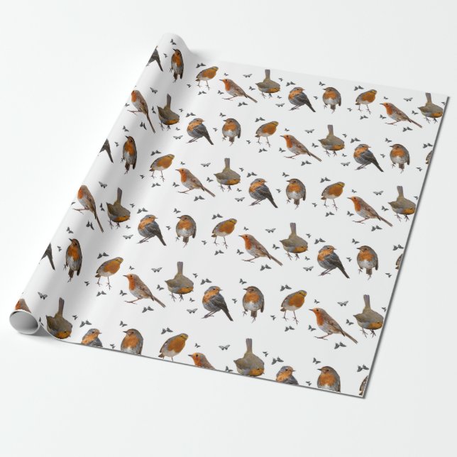 Papel De Presente Robin Party Wrapping Paper (Papel de enrolamento d (Desenrolado)