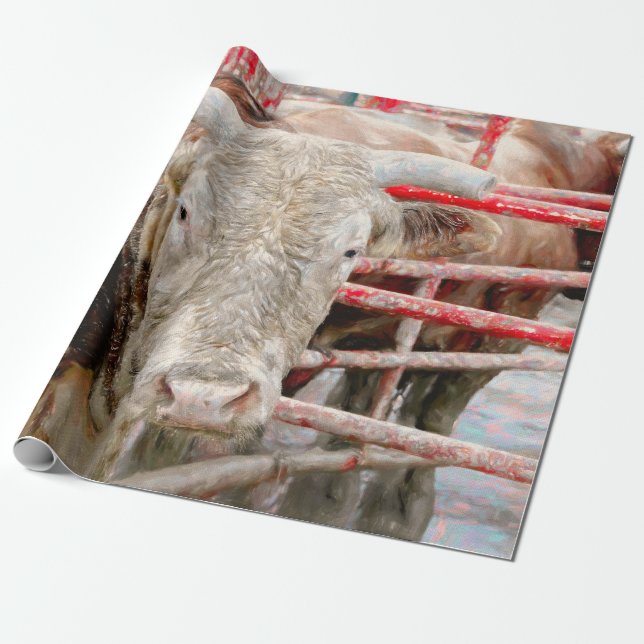 Papel De Presente Rodeo Bull País Russo Ocidental (Desenrolado)