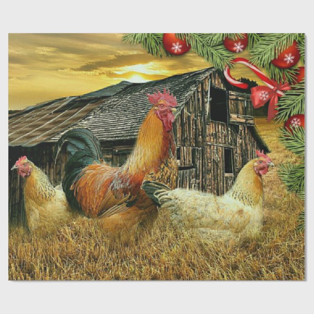Papel De Presente Rooster Hen Chicken Natal (Aberto)