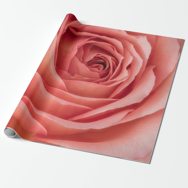 Papel De Presente rosa laranja laranja laranja rosa florescente cora (Desenrolado)