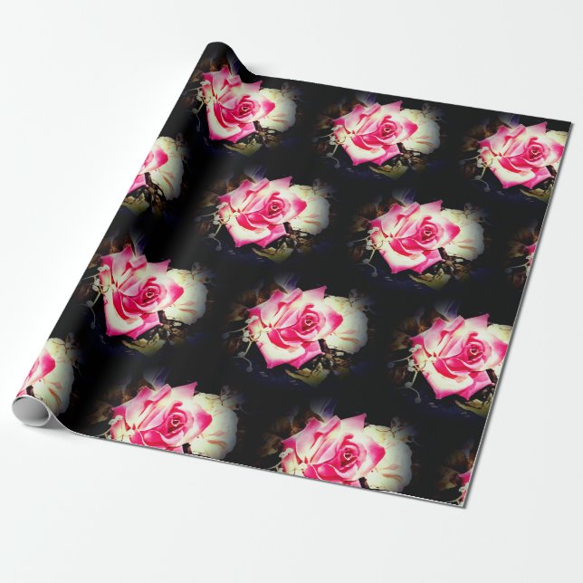 Papel De Presente Rosa Rosa Rosa Gorda (Desenrolado)