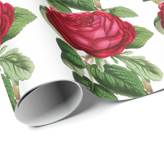 Papel De Presente Rosa vermelha (Ponta do rolo)