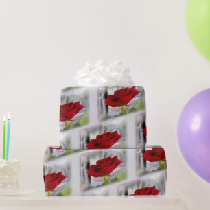 Papel De Presente Rosa vermelha 2