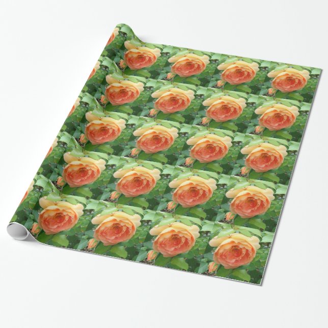 Papel De Presente Rosas Laranja Elegante (Desenrolado)