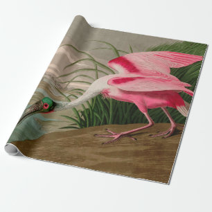 Papel De Presente Roseate Spoonbill Birds, Impressão da América Au
