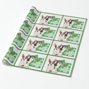 Papel De Presente Rua do dia de Patrick Chihuahua