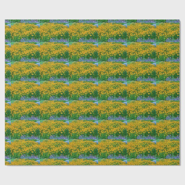 Papel De Presente Rudbeckia Hirta E Lavanda (Aberto)