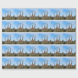 Papel de Presente Safari Crescendo Alto