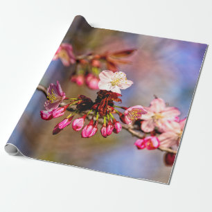Papel De Presente Sakura Flor E Roxos Em Um Dia Úmido