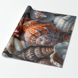 Papel De Presente Sally Vende Conchas