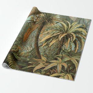 Papel De Presente Samambaia Palmeira Antiga Arte Botânica de Samamba