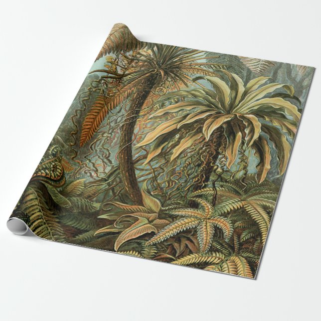 Papel De Presente Samambaia Palmeira Antiga Arte Botânica de Samamba (Desenrolado)