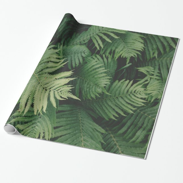 Papel De Presente Samambaias na máscara verde legal (Desenrolado)