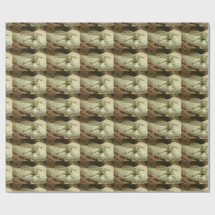 Papel De Presente Sand Goanna