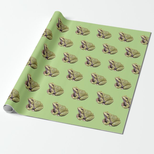 Papel De Presente Sapo Verde (Desenrolado)