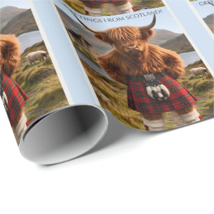 Papel De Presente "Saudações da Escócia" Desenho de Vaca das Terras