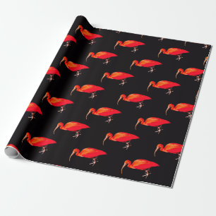 Papel De Presente Scarlet Ibis