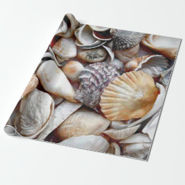 Papel De Presente Sea Shells Ocean Beach Linda desoupage