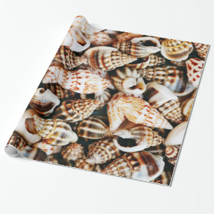 Papel De Presente Seashells minúsculos
