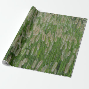 Papel De Presente Sementes De Grãos Verdes Altas