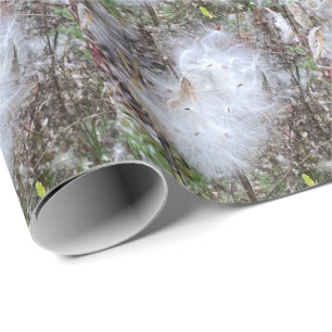 Papel De Presente Sementes de Milkweed e Seda