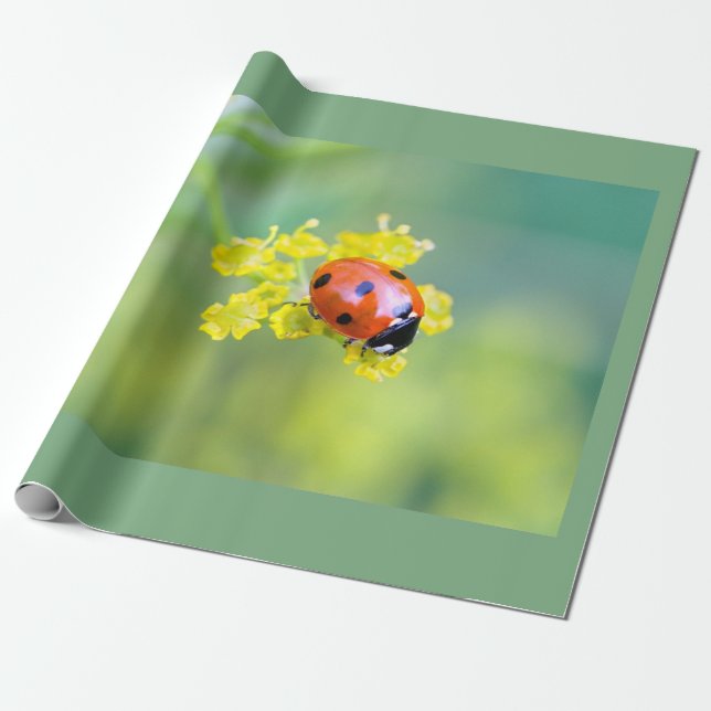Papel De Presente senhora por cima (Desenrolado)