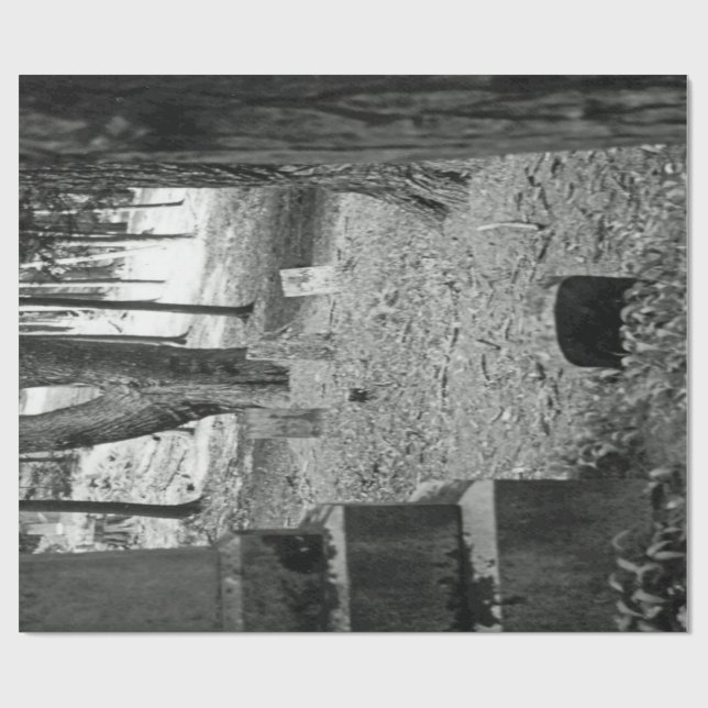 Papel De Presente Sepultura esquecida (Aberto)