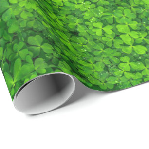 Papel De Presente Shamrock Clovers Green Irish Símbolo Irlanda