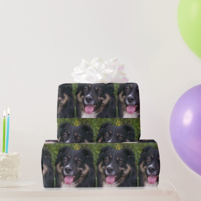 Papel De Presente Shepherd Black Tri Americano Miniatura (Presentes para festas)