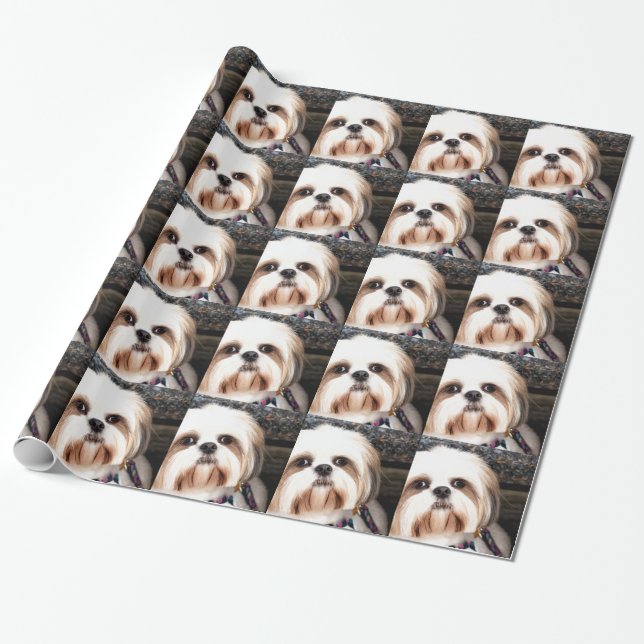 Papel De Presente Shih Tzu (Desenrolado)