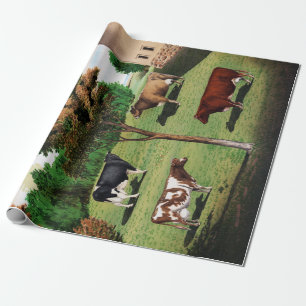 Papel De Presente Shorthorn típico do jérsei de Holstein das vacas