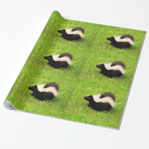 Papel De Presente Skunk Striped