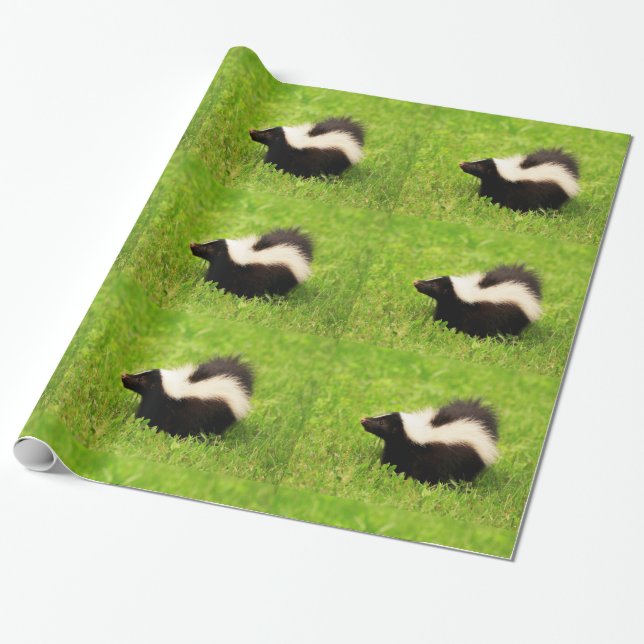 Papel De Presente Skunk Striped (Desenrolado)