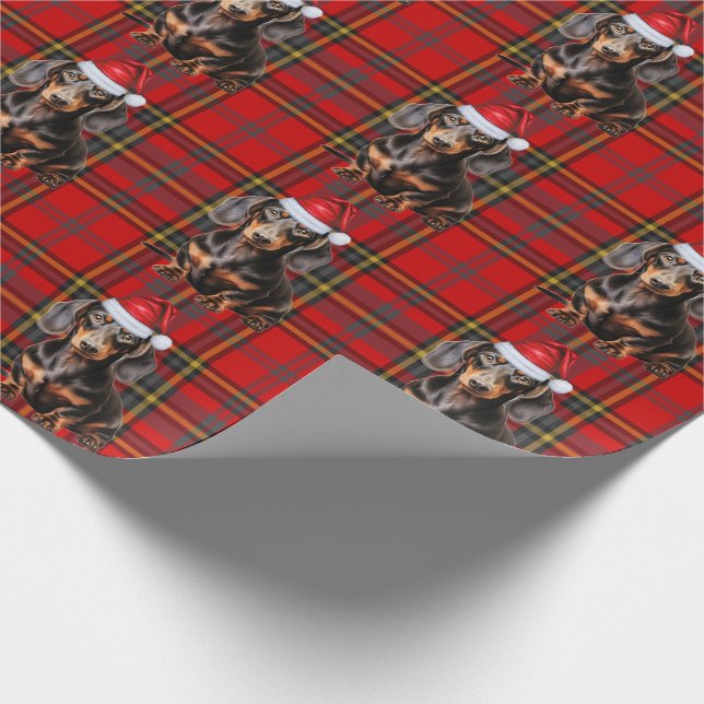 Papel De Presente Smooth Coat Dachshund Red Holiday Plaid Christmas (Ponta)