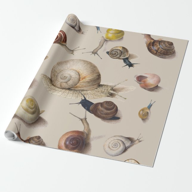 Papel De Presente Snail Slug Garden Pet Gastropod Botanical Snails (Desenrolado)