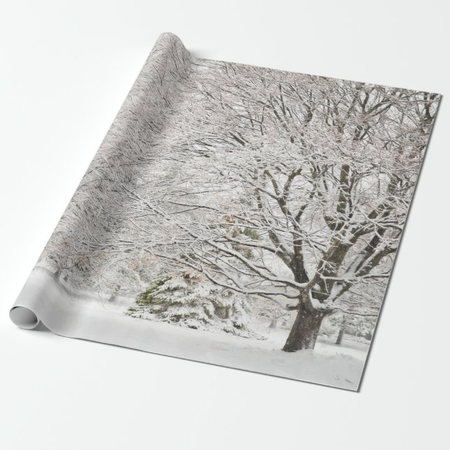 Papel De Presente Snowy Winter Forest (Desenrolado)