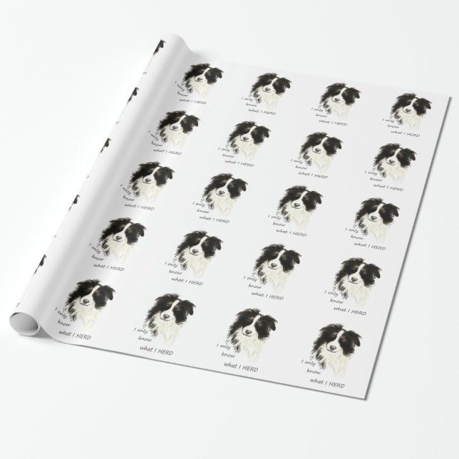 Papel De Presente Só sei o que ouvi na Cota de Cachorro da Fronteira (Desenrolado)