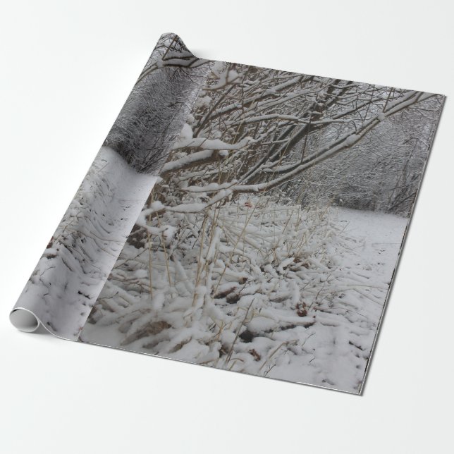 Papel De Presente Sob uma cobertura da neve (Desenrolado)
