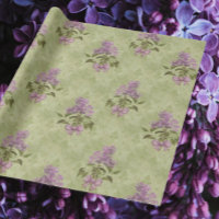 Sonhos Lilás de Damasco Verde Antigo para Todas as